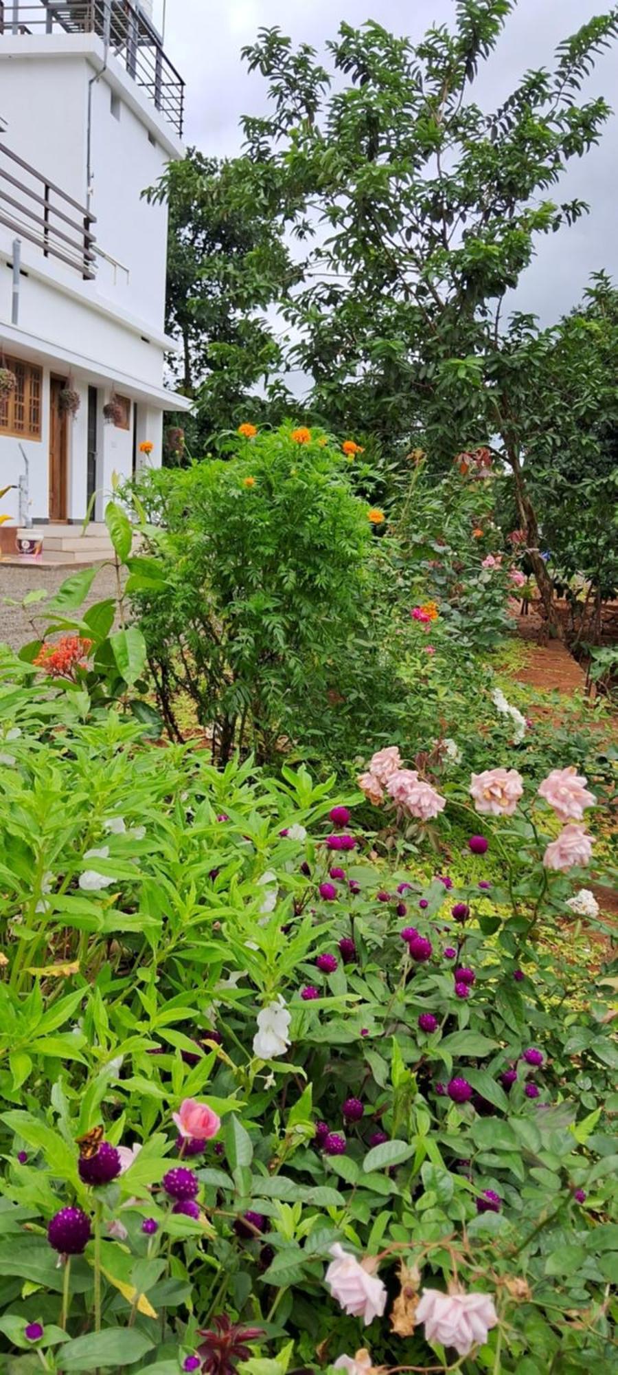 Rockland Holidays Ramakkalmedu Экстерьер фото